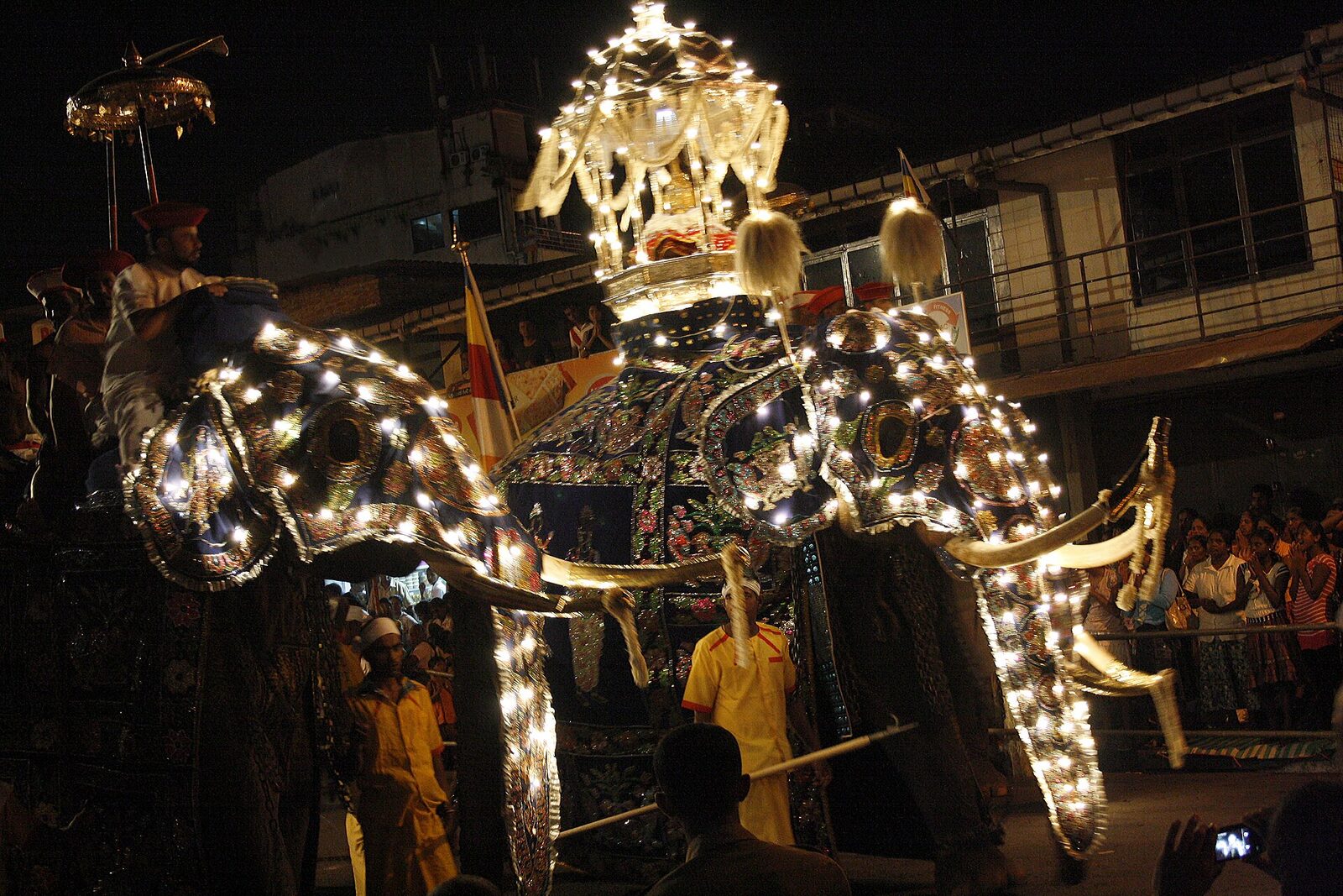 Costumed elephants in the illuminated Kandy Esala Perahera procession.